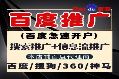 实战解析：SEM竞价策略优化案例